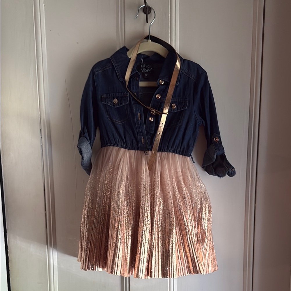 Denim and Gold Pleated Dress